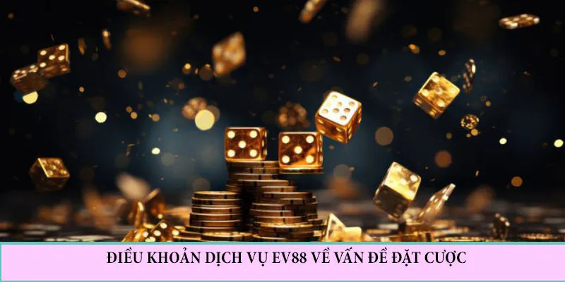 Điều Khoản Dịch Vụ EV88 - Hội Viên Cần Biết Khi Tham Gia Nhà Cái 2 Điều khoản dịch vụ EV88 quy định về vấn đề đặt cược